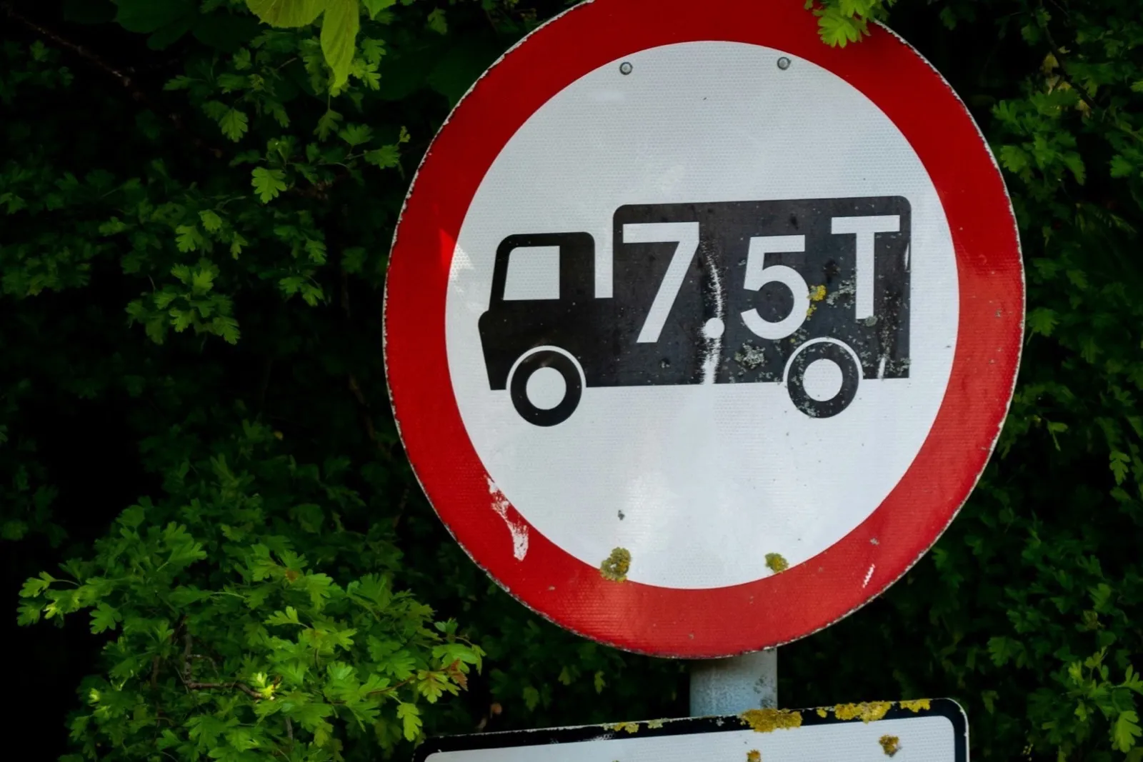 No goods vehicles over 7.5 tonnes sign with an 'Except for access' plate, against trees