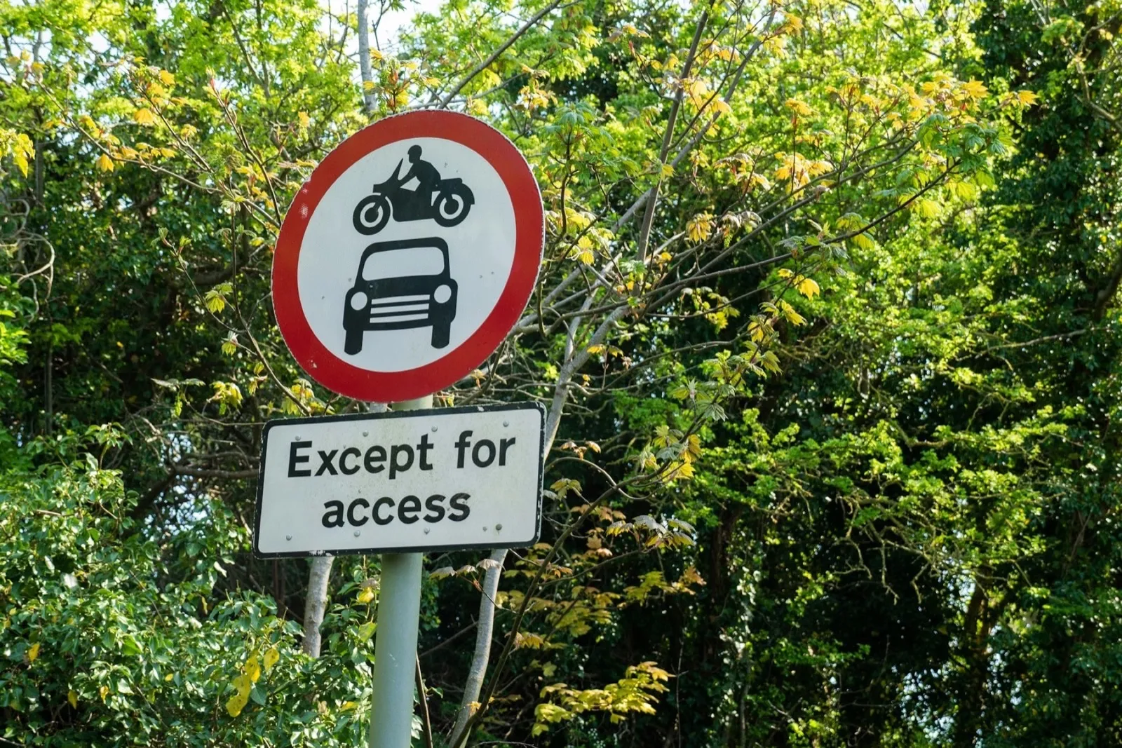 No motor vehicles sign (motorcycle and car in a red circle) with an 'Except for access' plate, in front of trees